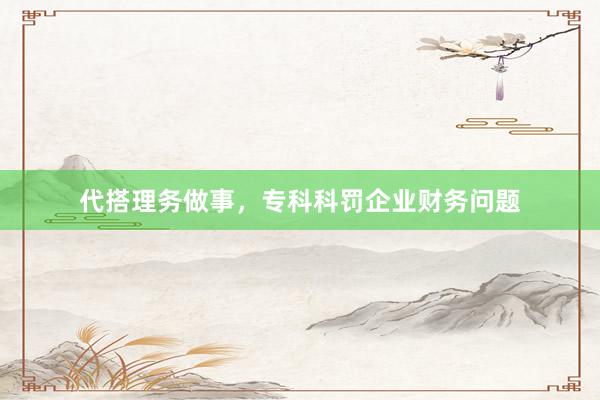 代搭理务做事，专科科罚企业财务问题